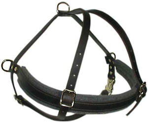 Handmade leather dog harness