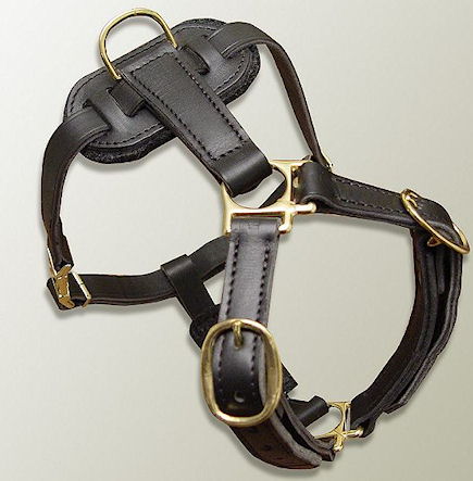 manufacturer of sled dog harnesses poland