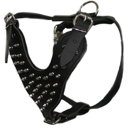 English bulldog Leather spiked dog harness