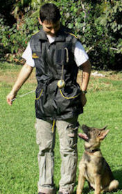 Dog Handler Vest Dog Training Vest Training Vest for Dog Handlers