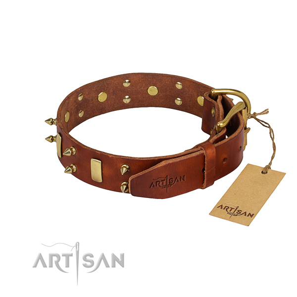 Heavy-duty leather dog collar with reliable details
