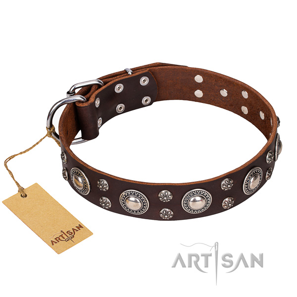 Sturdy leather dog collar with non-rusting fittings