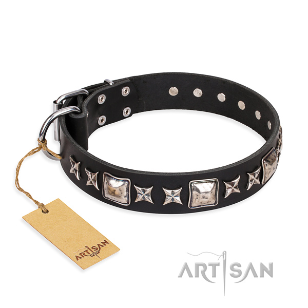 Remarkable full grain natural leather dog collar for everyday use