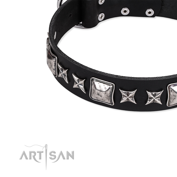 Full grain leather dog collar with adornments for everyday walking