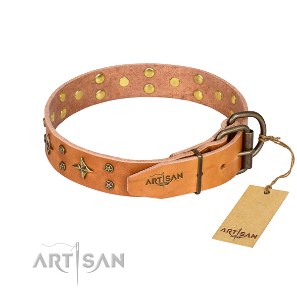 Daily walking full grain natural leather collar with studs for your pet