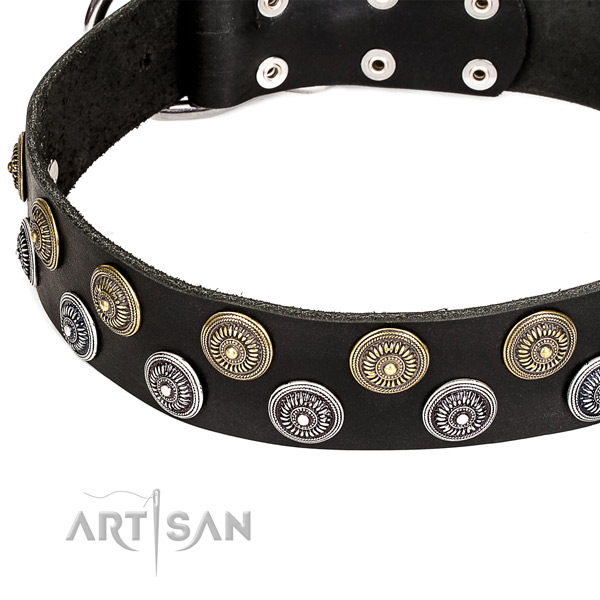 Natural genuine leather dog collar with stunning embellishments
