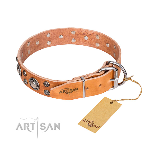 Daily use leather collar with studs for your pet
