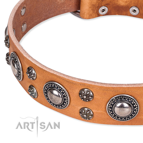Daily walking leather collar with reliable buckle and D-ring