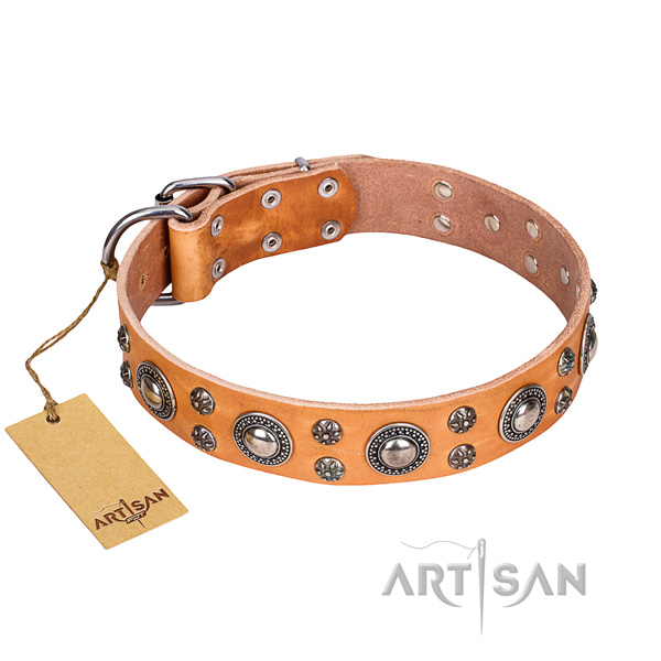 Unusual natural genuine leather dog collar for daily walking