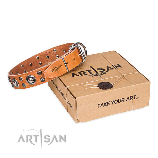 Top notch natural genuine leather dog collar for walking