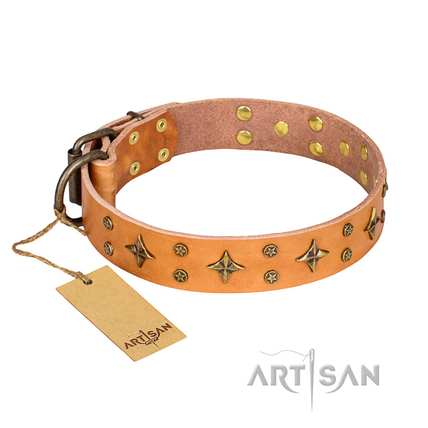 Unique genuine leather dog collar for stylish walking