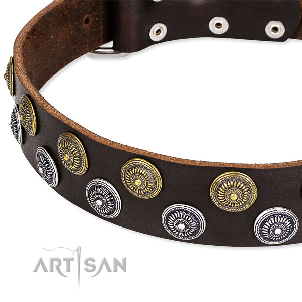Genuine leather dog collar with unusual adornments