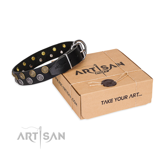 Natural genuine leather dog collar with adornments for daily walking