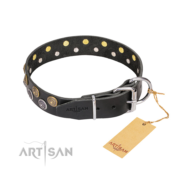 Everyday walking full grain natural leather collar with embellishments for your doggie