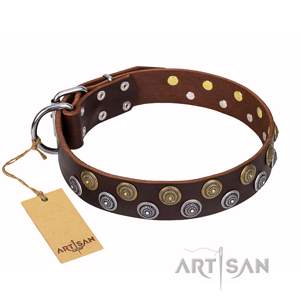 Daily use full grain leather collar with embellishments for your canine