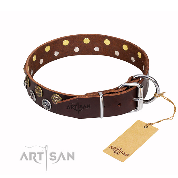 Unusual genuine leather dog collar for daily use
