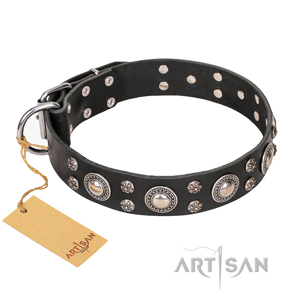 Durable leather dog collar with rust-resistant elements