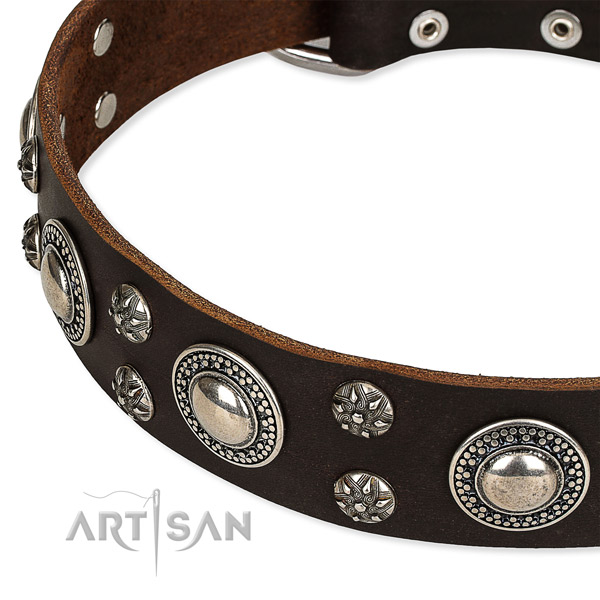 Snugly fitted leather dog collar with resistant to tear and wear durable buckle and D-ring