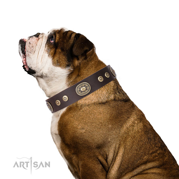 Inimitable studded natural leather dog collar for handy use