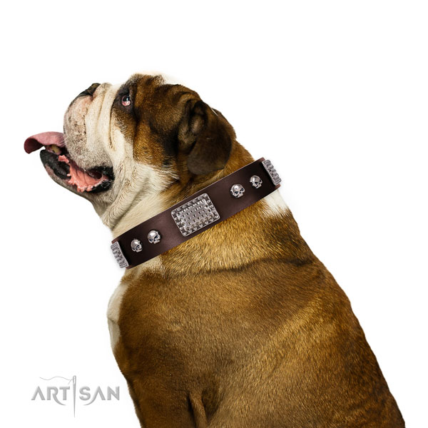 Designer genuine leather collar for your beautiful four-legged friend