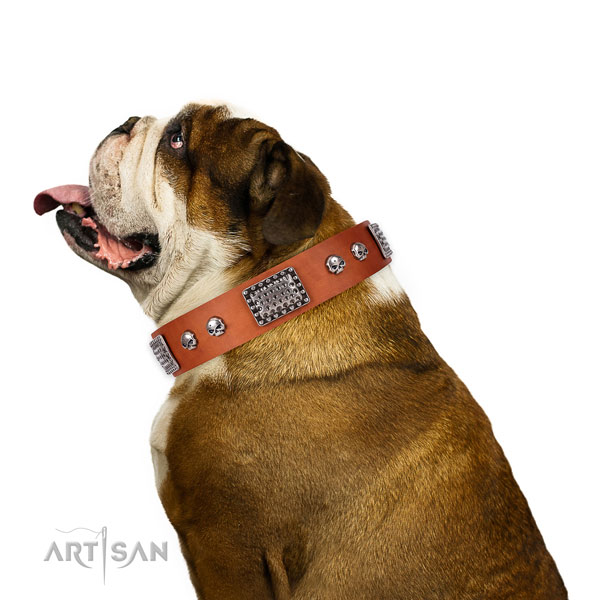Fine quality leather collar for your stylish pet