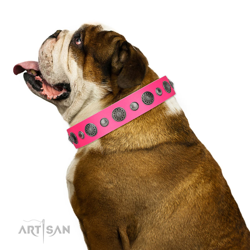 Colette Cream Metallic Floral Dog Collar – The Foggy Dog