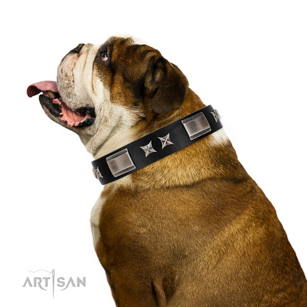Easy wearing top rate leather dog collar with adornments