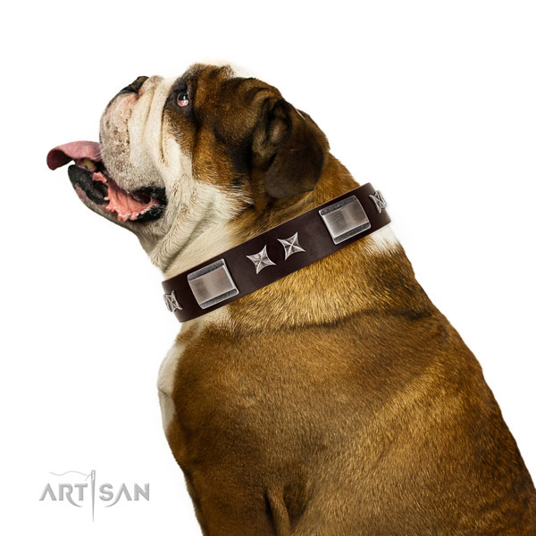 Incredible collar of full grain leather for your beautiful four-legged friend