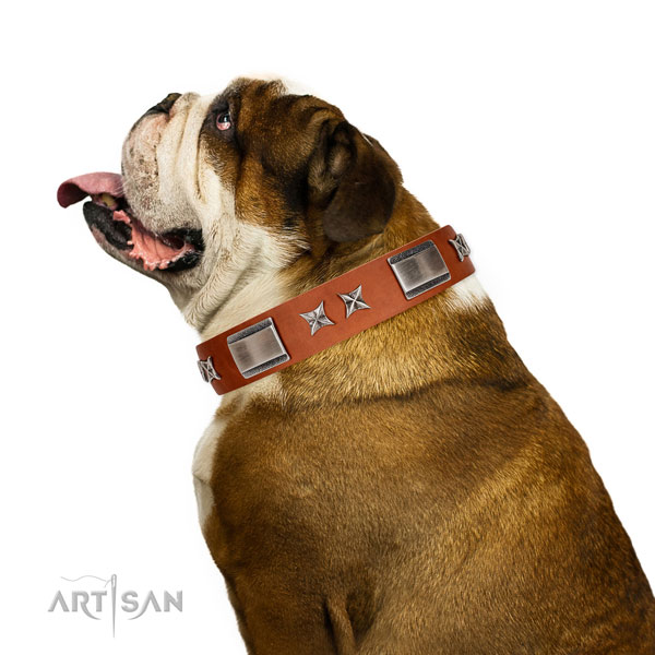 Comfortable wearing quality full grain leather dog collar with studs