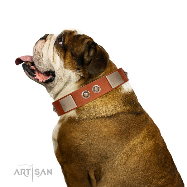 Reliable fittings on leather dog collar for comfy wearing