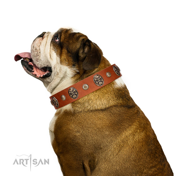 Leather dog collar with top notch decorations