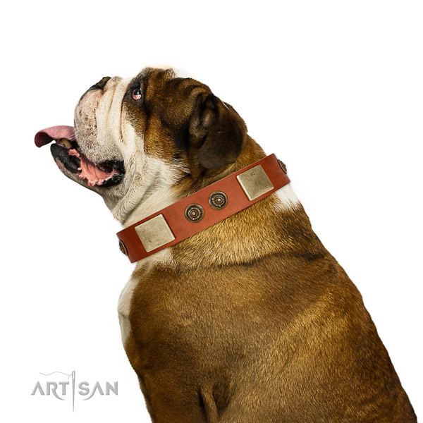 Decorated dog collar handcrafted for your attractive dog