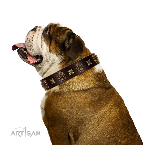 Daily walking dog collar of leather with fashionable adornments