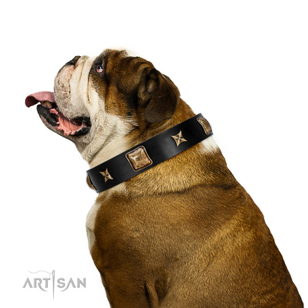 Embellished dog collar made for your beautiful dog