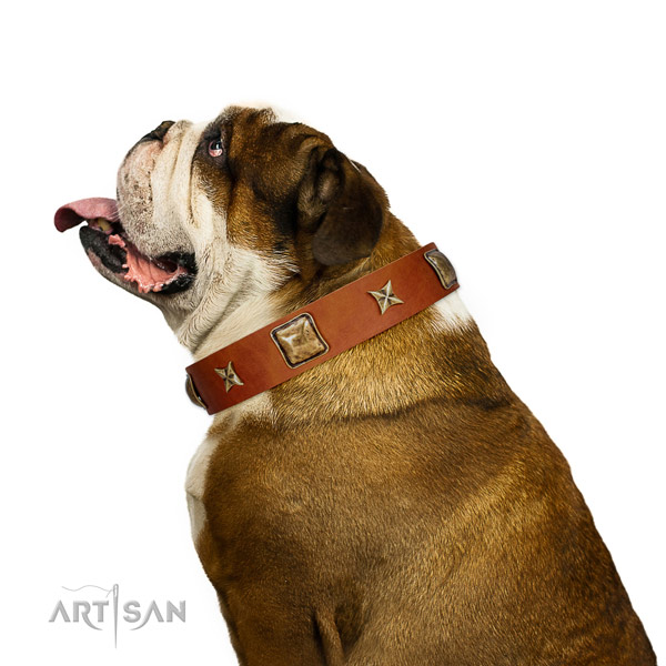 Studded full grain natural leather dog collar with studs