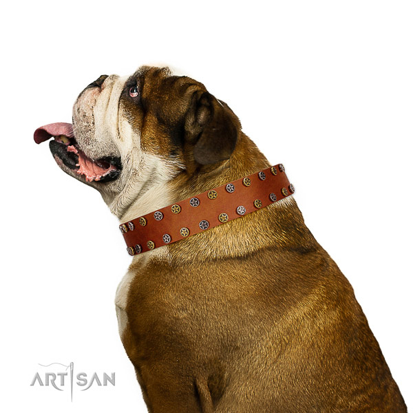 Everyday walking flexible full grain leather dog collar with adornments