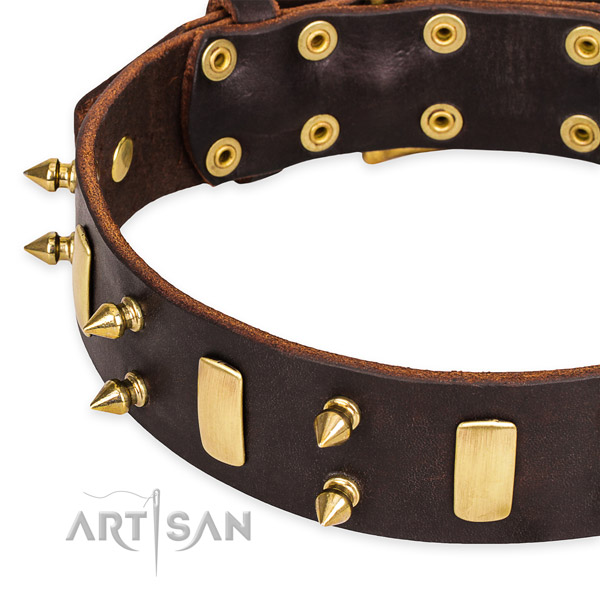 Easy to use leather dog collar with almost unbreakable non-rusting hardware