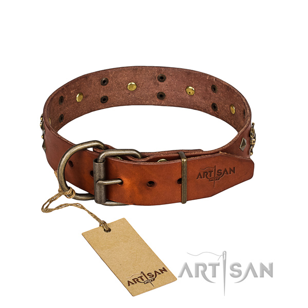 Long-wearing leather dog collar with rust-resistant details