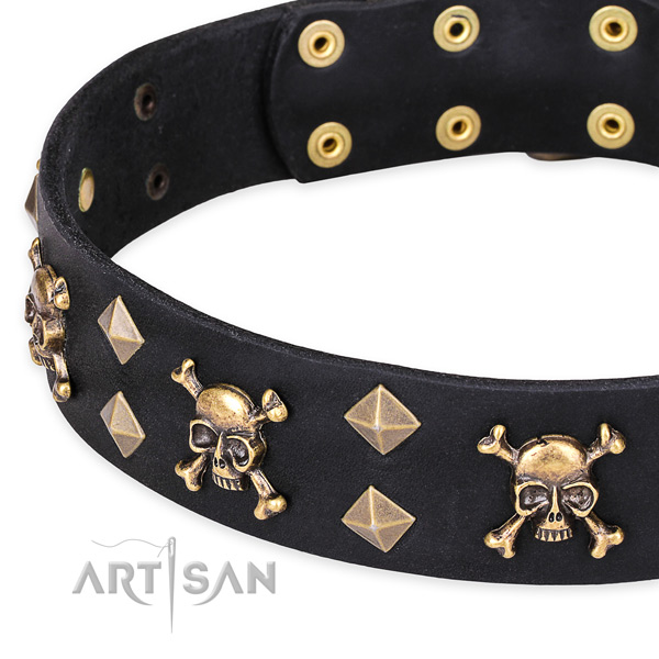 Daily leather dog collar with luxurious studs