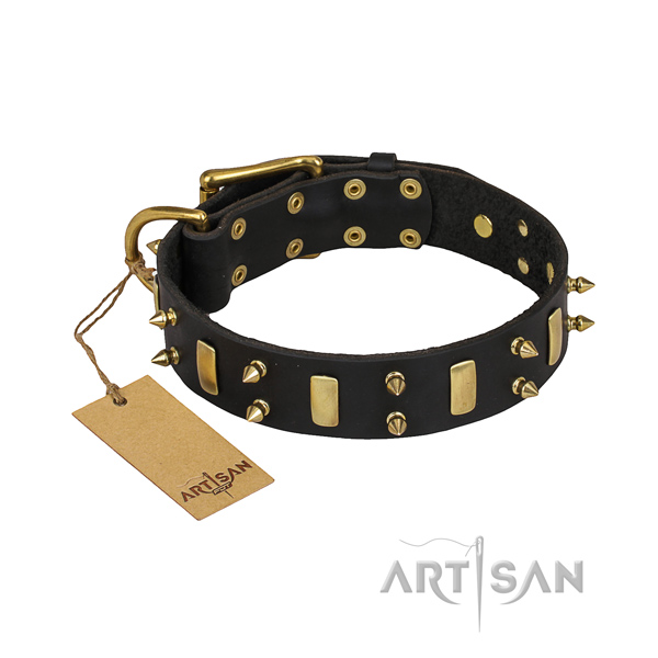 Full grain natural leather dog collar with polished surface