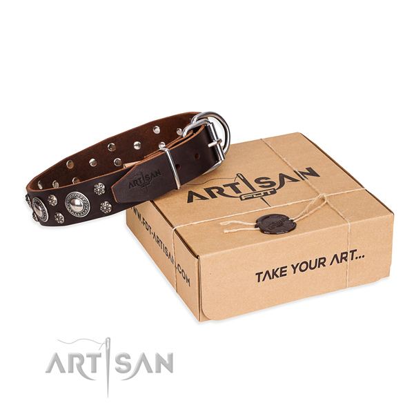 Casual leather dog collar with exceptional decorations