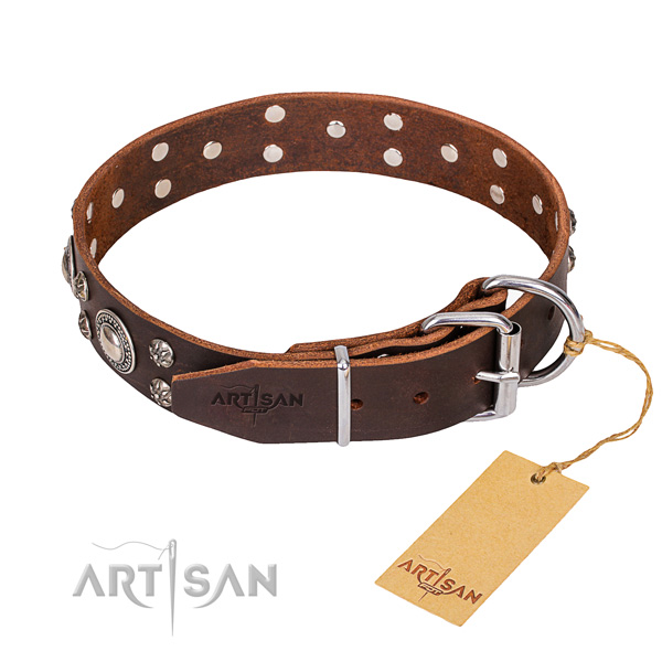 Fashionable leather collar for your gorgeous dog