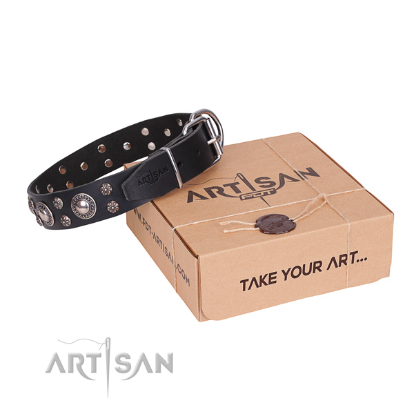 Casual leather dog collar with stunning decorations