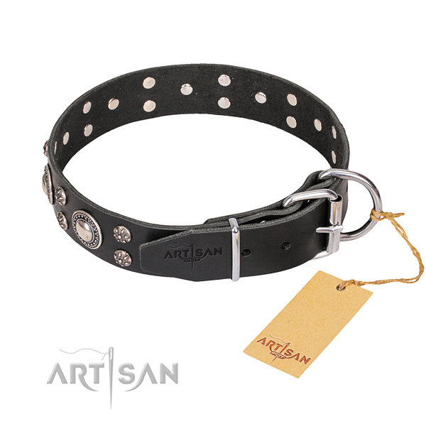 Full grain leather dog collar with polished leather surface