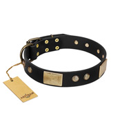 "Antique Gloss" FDT Artisan Black Leather English Bulldog Collar with Bronze-like Plates and Small Studs "Antique Gloss" FDT Artisan Black Leather English Bulldog Collar with Bronze-like Plates and Small Studs