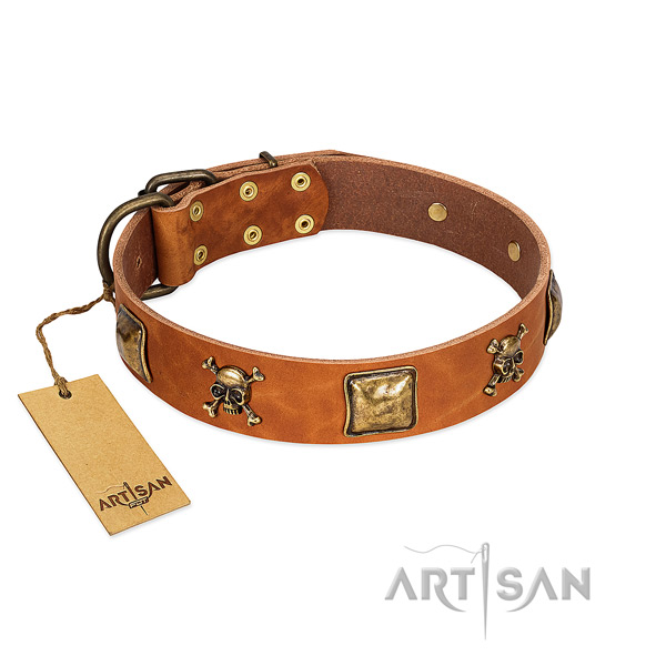 Inimitable full grain natural leather dog collar with reliable studs