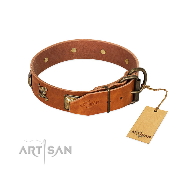 Unusual leather dog collar with corrosion proof adornments