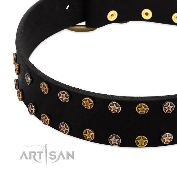 Amazing embellishments on natural leather collar for your canine