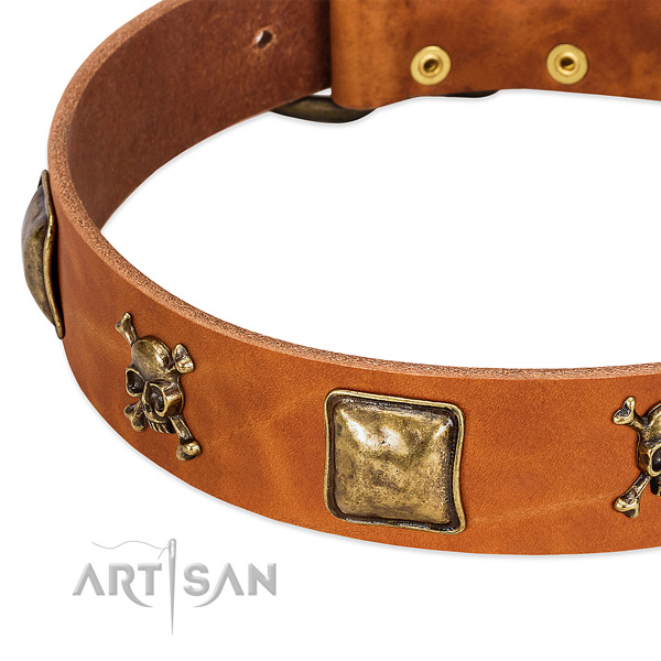 Stylish design genuine leather dog collar with corrosion resistant embellishments