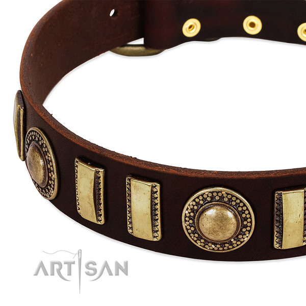 Reliable natural leather dog collar with corrosion resistant traditional buckle
